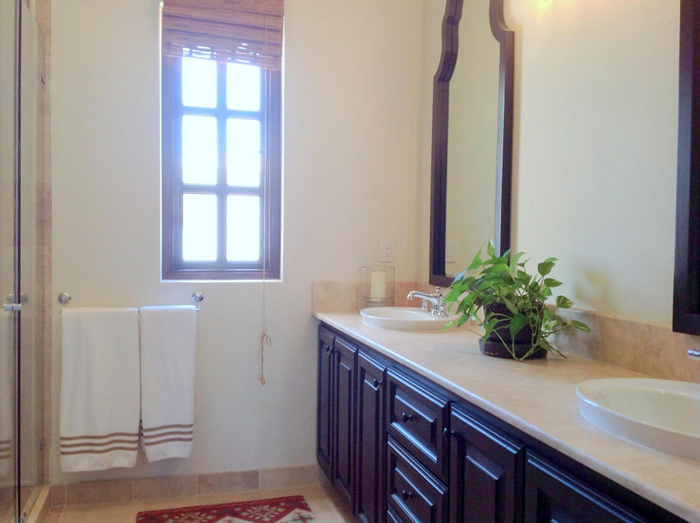 bath with walk in closet